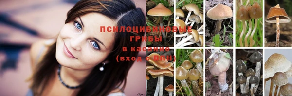 скорость Балабаново