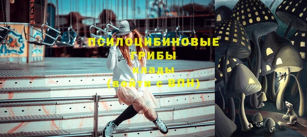 apvp Балахна